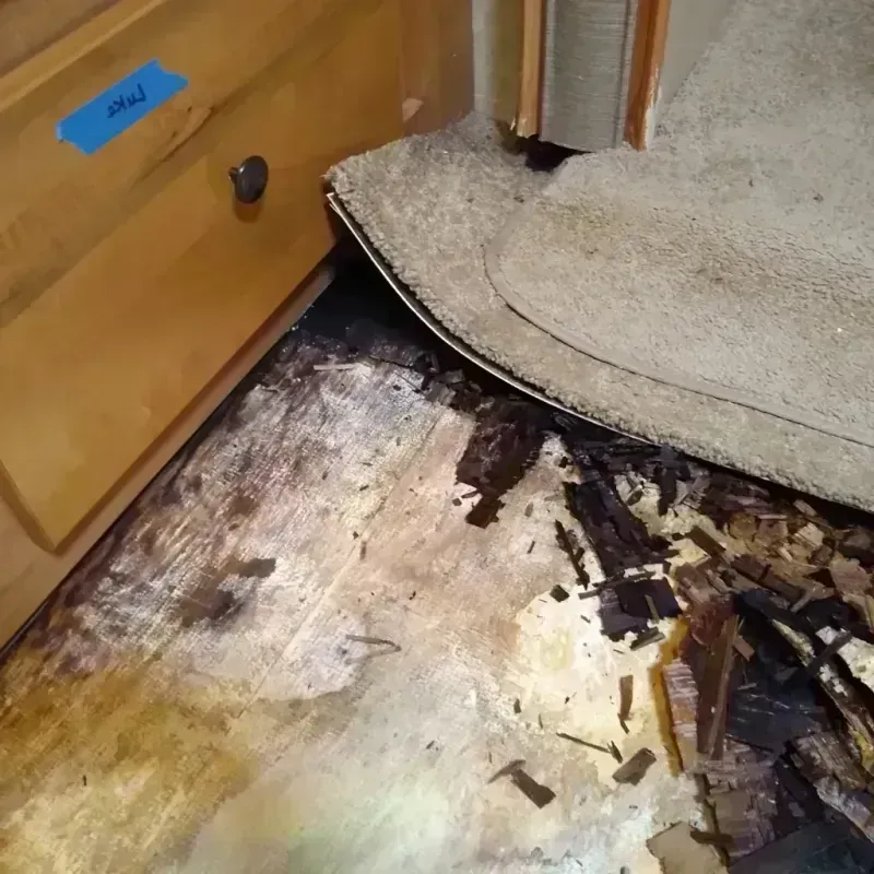 Best Wood Floor Water Damage Service in Fremont County, CO